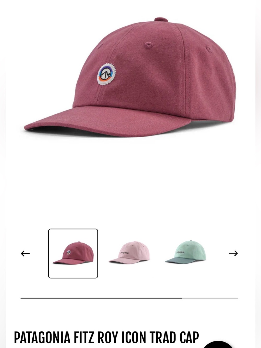 Patagonia Fitz Roy Icon Trad Cap